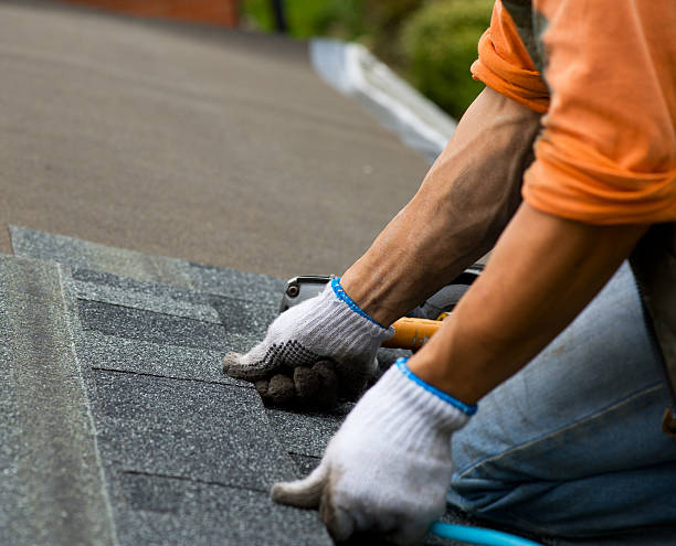 Best Storm Damage Roof Repair  in Appomattox, VA