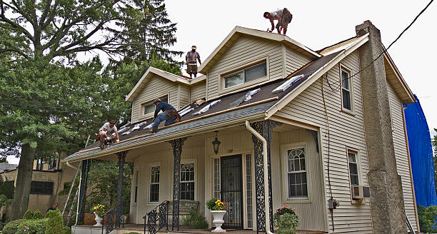 Best Roof Maintenance Services  in Appomattox, VA