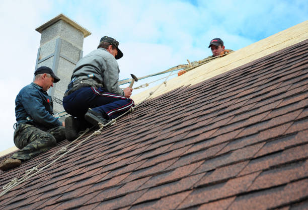 Best New Roof Installation  in Appomattox, VA