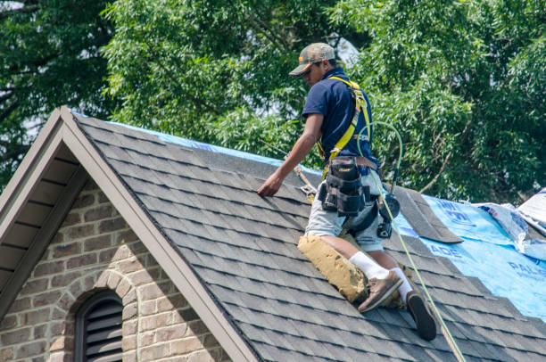 Best Shingle Roofing Installation  in Appomattox, VA